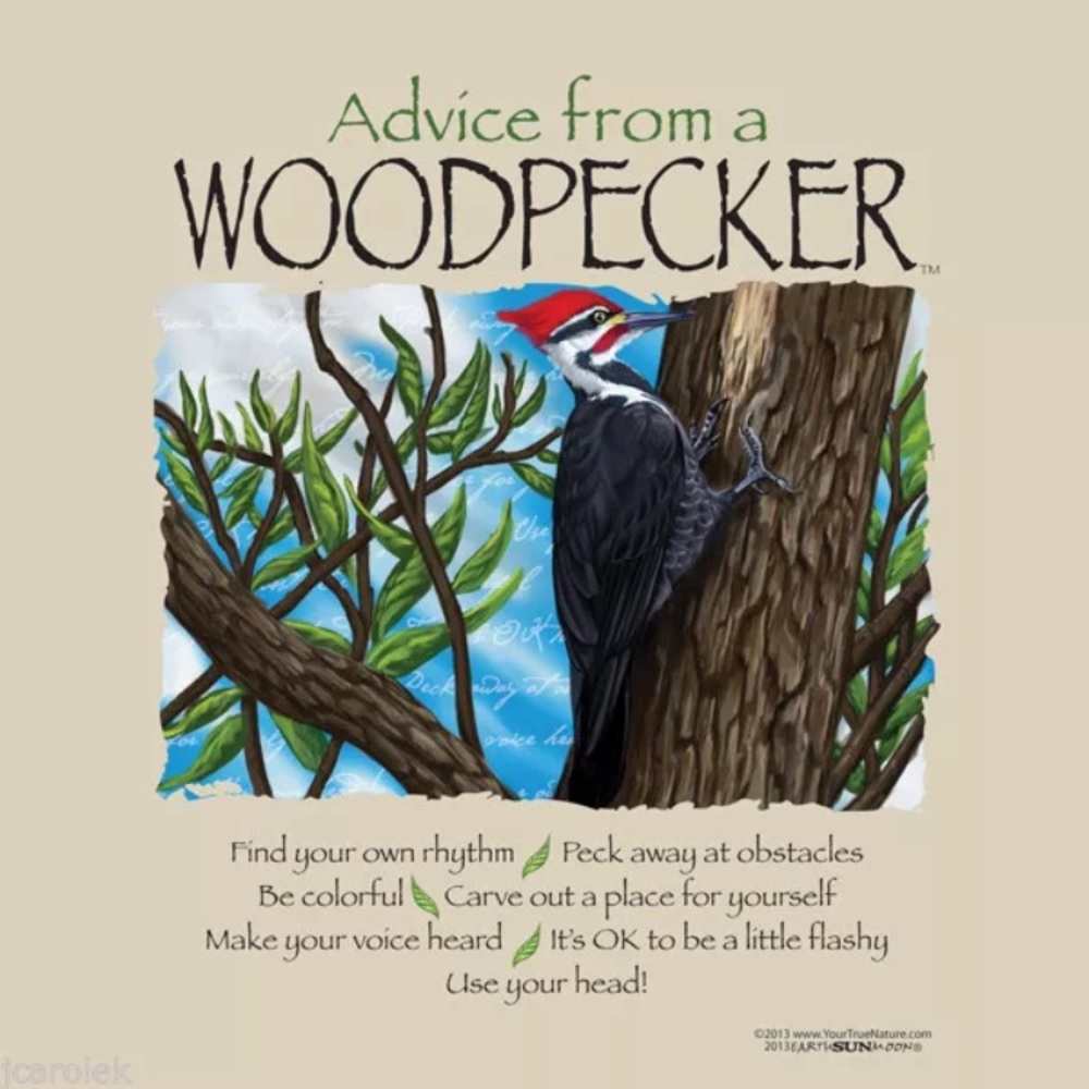Advice From a Woodpecker Sweatshirt Unisex  Sizes